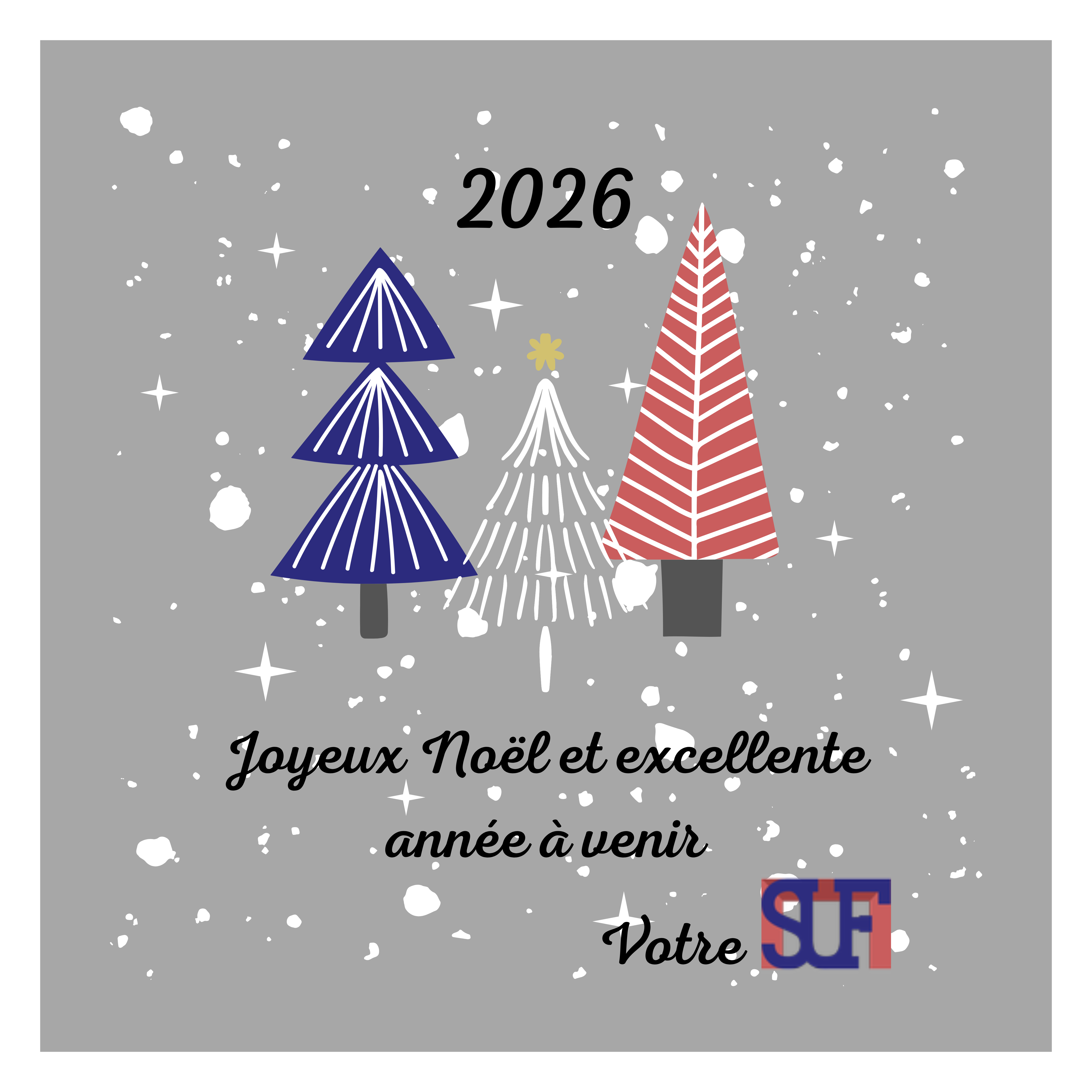 Meilleurs voeux 2026